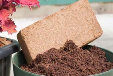COCO PEAT BRIQUETTES New